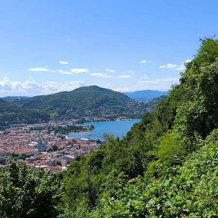 Gloria's Gardenia Retreat *